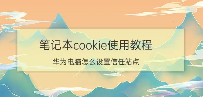 笔记本cookie使用教程 华为电脑怎么设置信任站点？